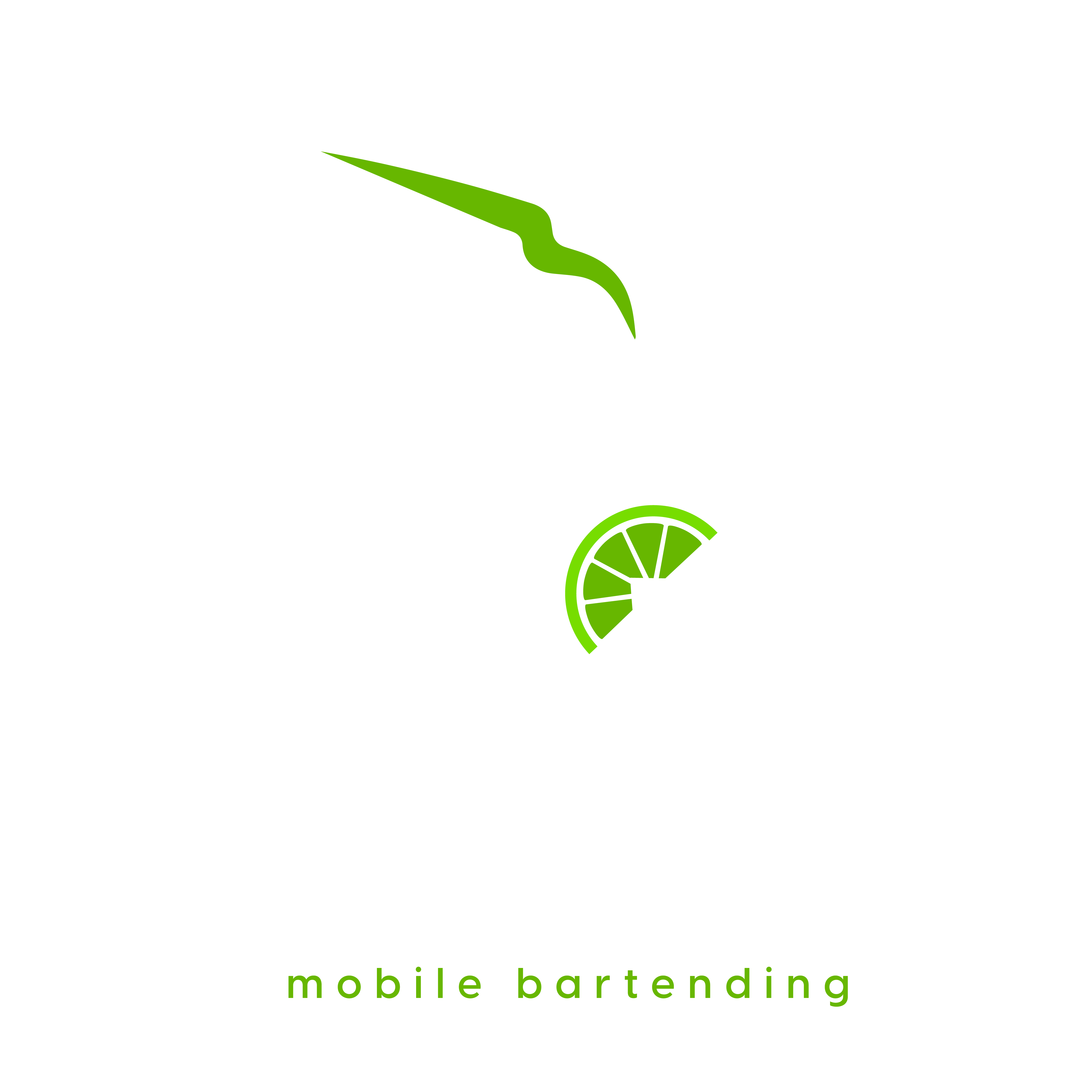 Shake 'N Pour